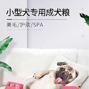 小型成犬粮详情页