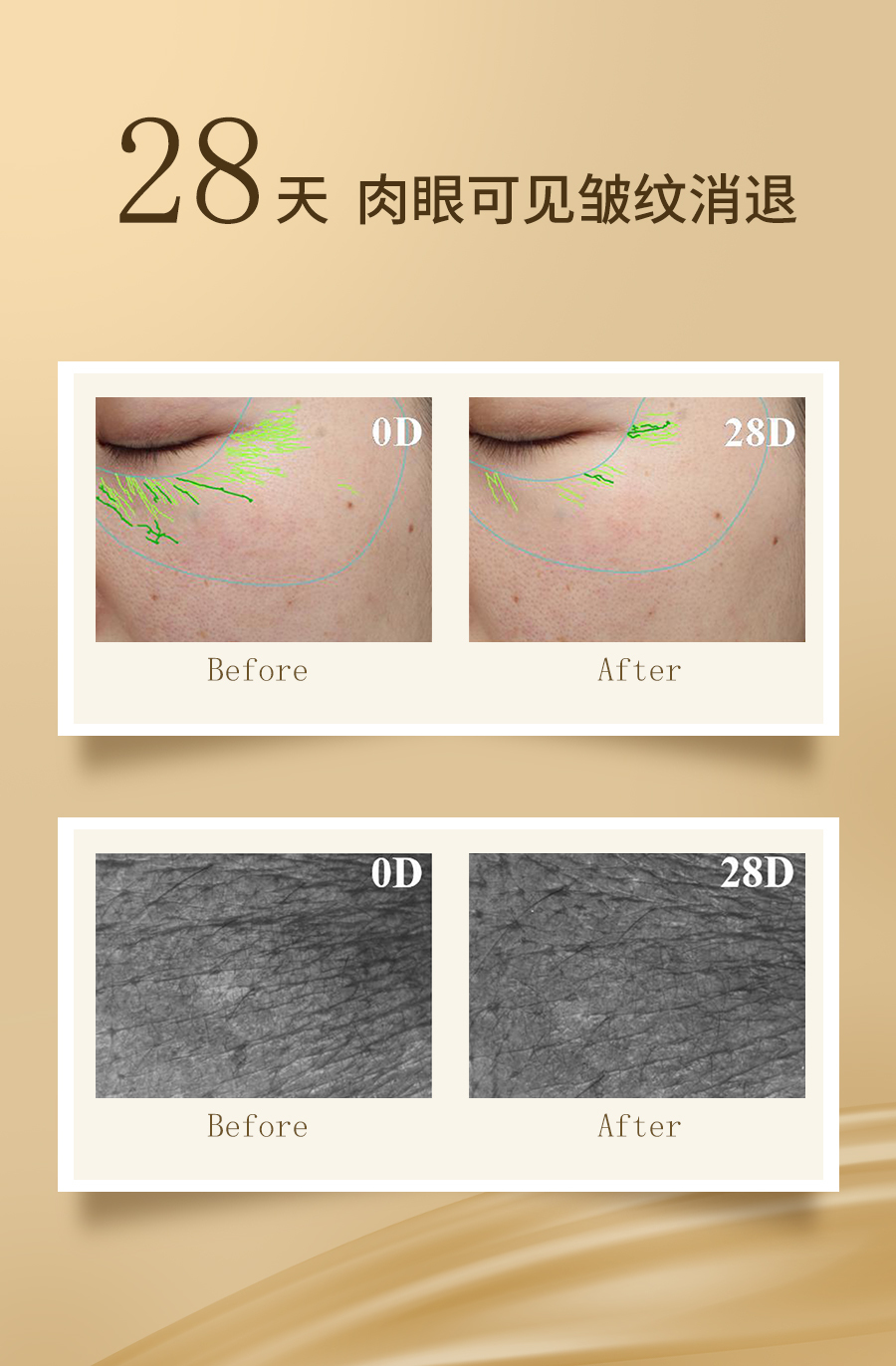 淘宝美工艾米丽C4D建模化妆品产品详情页作品