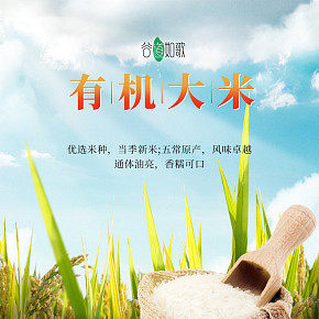 食品大米詳情模板設(shè)計(jì)