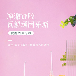 便攜式?jīng)_牙器