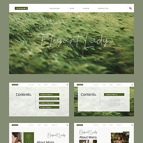 清新网页PPT效果展示