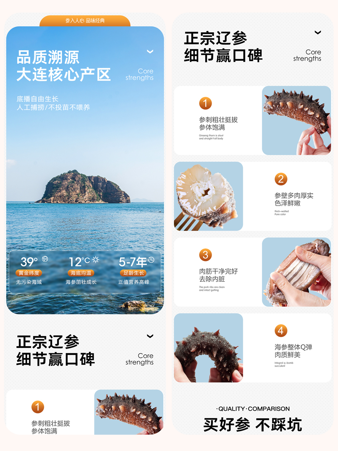 淘寶美工小妍海參詳情頁設(shè)計作品