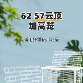 寵物用品 鳥籠 詳情頁