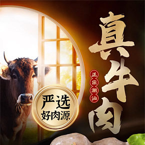 正宗潮汕特產(chǎn)牛肉丸詳情