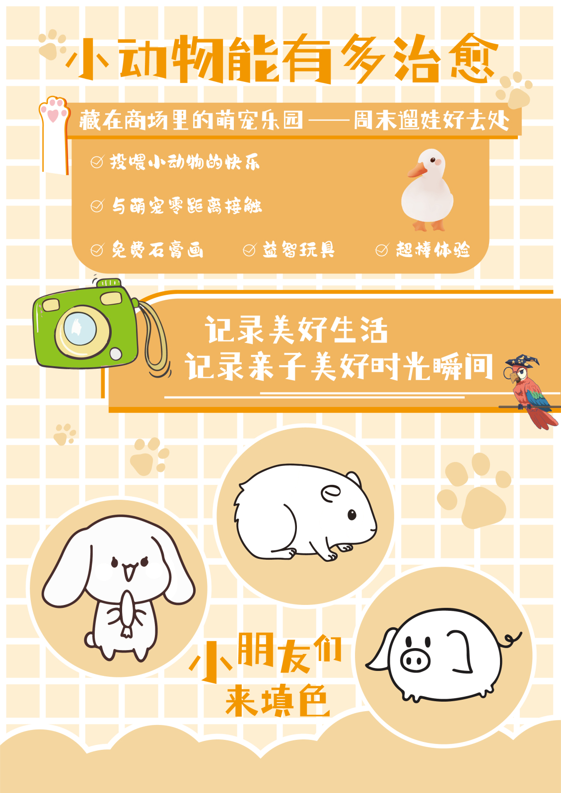 淘寶美工孫健萌寵樂(lè)園宣傳單作品