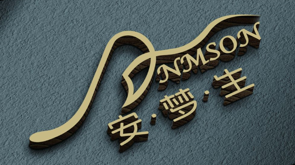 淘寶美工孫健安夢生公司logo作品