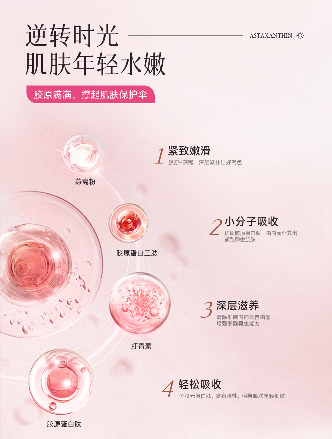 淘寶美工大獅子保健類目詳情頁設計作品