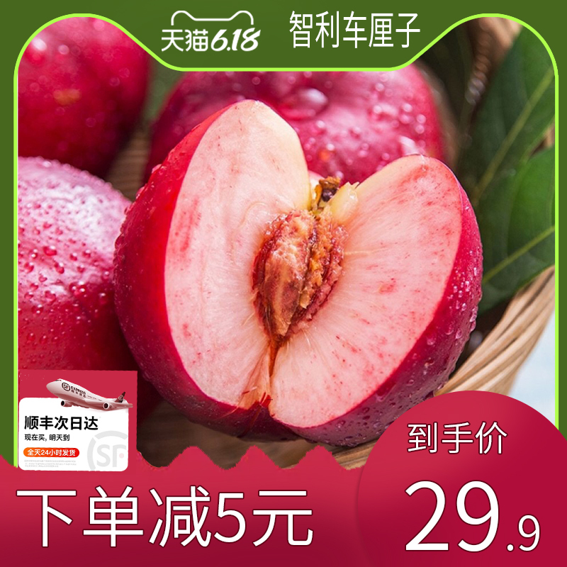 淘寶美工y289584智利車?yán)遄又鲌D作品