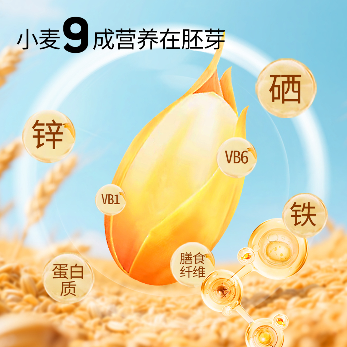淘寶美工y260577麥胚芽淘寶主圖詳情作品