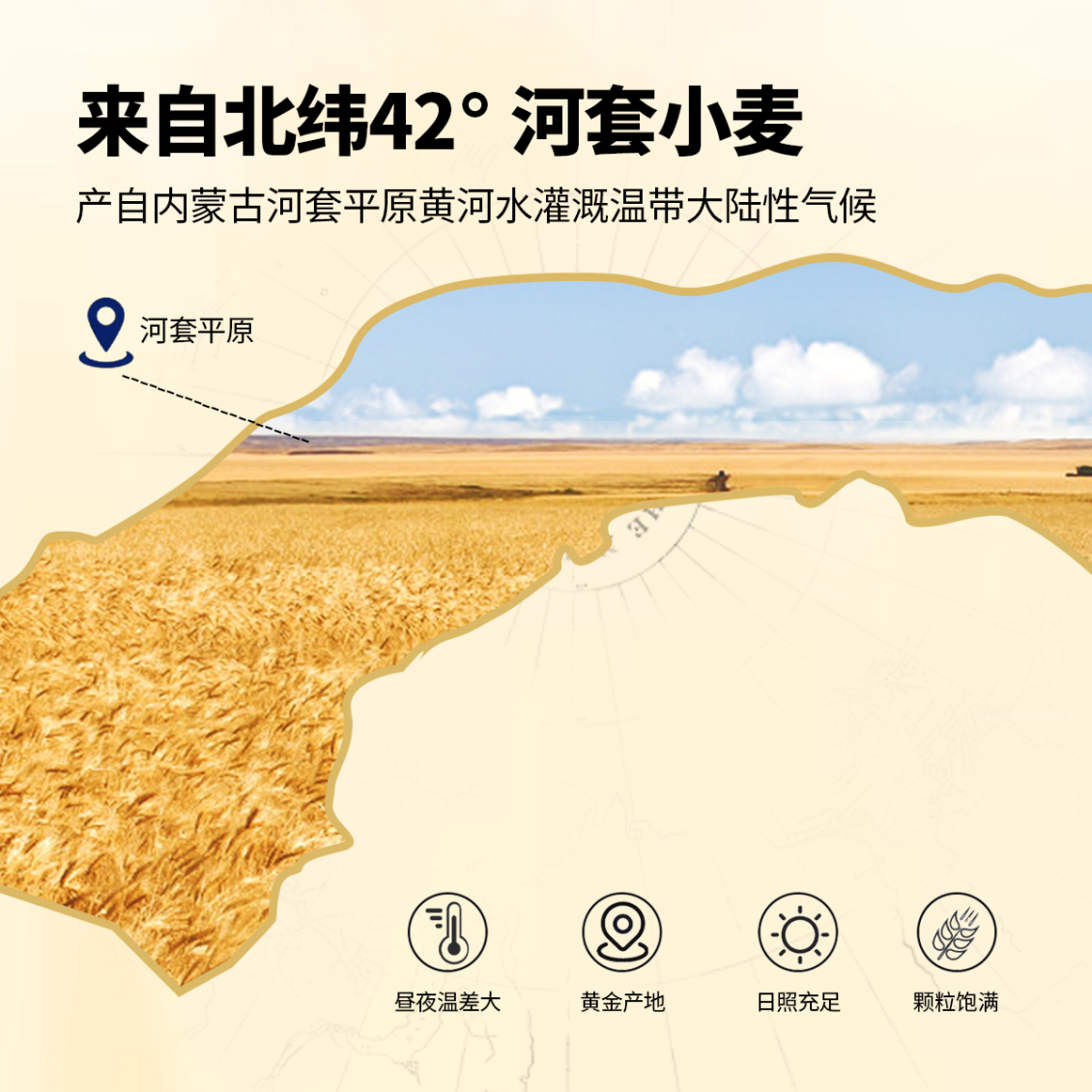 淘寶美工y260577麥胚芽淘寶主圖詳情作品