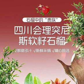 石榴紅色系詳情頁(yè)