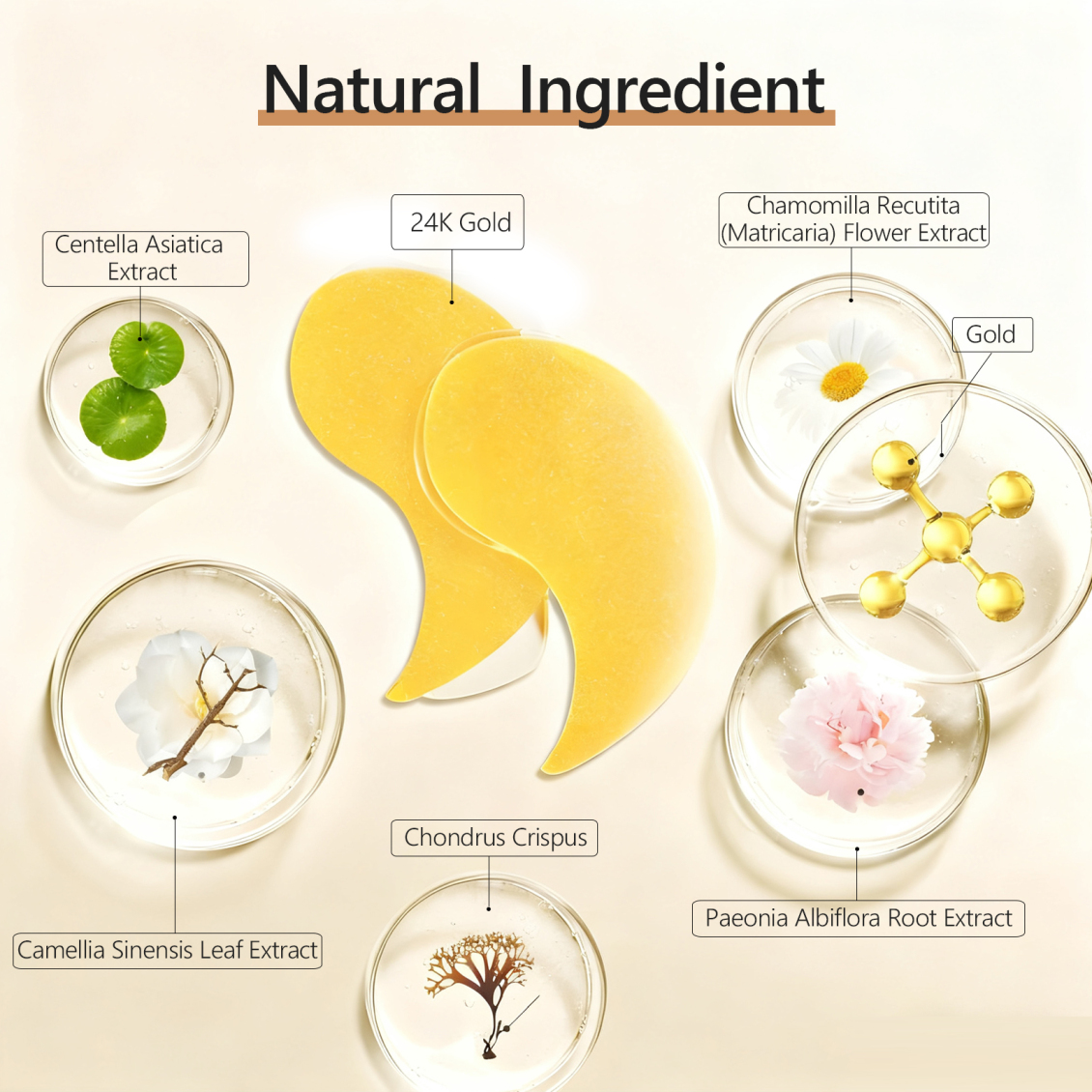 淘宝美工王桃亚马逊主图A 产品展示作品