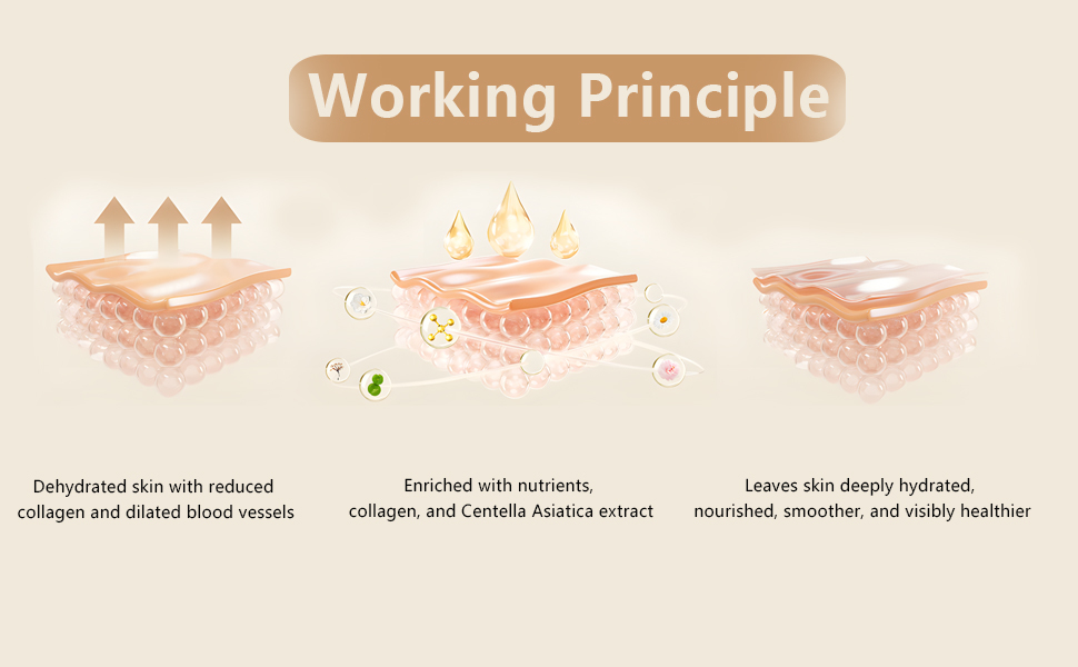 淘宝美工王桃亚马逊主图A 产品展示作品