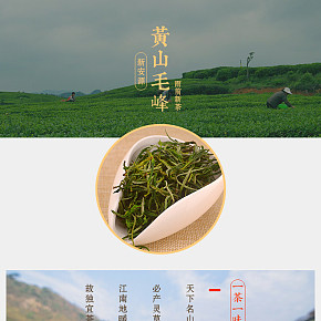 茶叶简约风详情