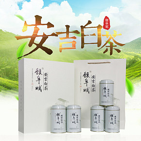安吉白茶绿茶珍稀白茶安吉原产地