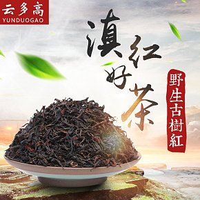 中国风野生古树红茶叶