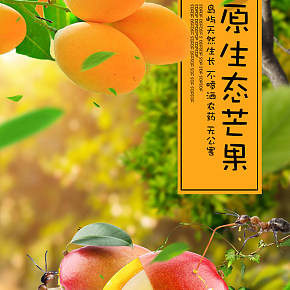 芒果水果创意海报小清新时尚简约