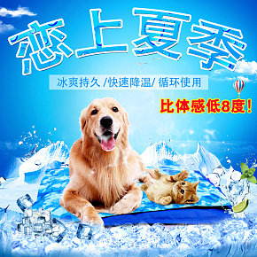宠物用品夏季冰垫主图