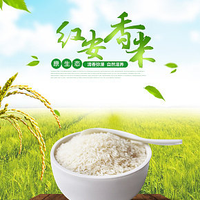 东北大米绿色食品有机食品农产品食物食品健康香米详情页