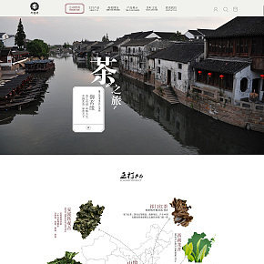 食品保健茶叶中国风网站首页