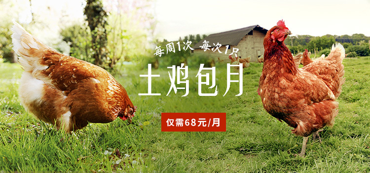 淘宝美工红鑫农产品 海报 土鸡蛋 土鸡  蔬菜套餐海报 有机食品作品