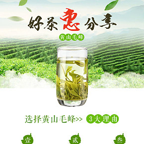 春季新茶详情茶叶绿茶详情页黄山毛峰详情