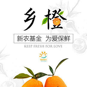 新农基金为爱保鲜-乡橙