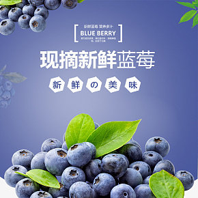 蓝莓水果详情页