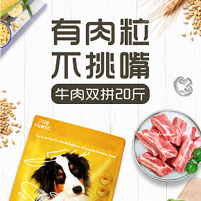 狗粮猫粮粮食宠物零食详情页