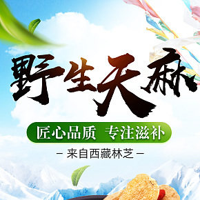 滋补品天麻详情页面