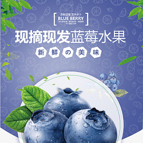 食品 新鲜水果 蓝莓详情页