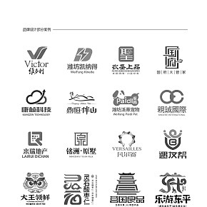 logo画册包装品牌设计