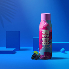 桑葚原浆饮品瓶贴瓶标设计