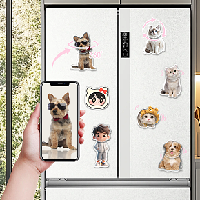 亚马逊冰箱贴主图